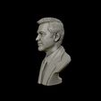 24.jpg George Clooney 3D print model