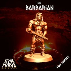 the_barbarian.jpg The Barbarian