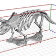Model_Dimensions.jpg Triceratops prorsus Skeleton
