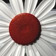 editable-10.jpg 3D Sunflower