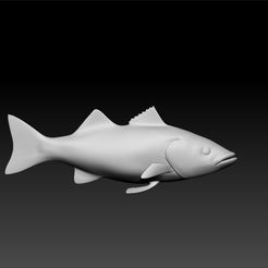 f333.jpg fish