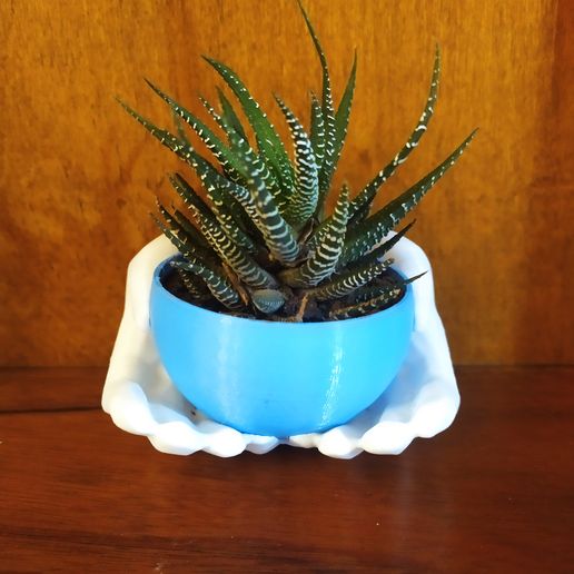 IMG_20230518_171436.jpg Hands pot