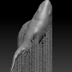 Shark_support-1.png STL-Datei Shark_Support・3D-druckbare Vorlage zum herunterladen