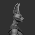 beerus_print7.png Dragon Ball - Beerus Sama Bust Rework