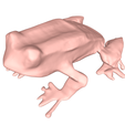 model-1.png Frog