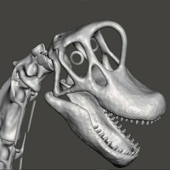 giraffatitan141.jpg Fichier STL Crâne de Brachiosaurus / Giraffatitan・Design pour imprimante 3D à télécharger, Lucas_Kranz