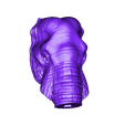 Elephant_African_2.obj Elephant African Head