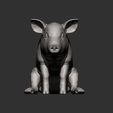 Baby-pig-sitting6.jpg Baby pig sitting 3D print model