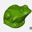 FrogSculpture.JPG Frog Sculpture 3D Scan