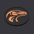 Shop3.jpg Coaster monitor lizard portrait