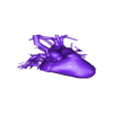 OBJ.obj 3D Model of Human Heart with Double Outlet Right Ventricle (DORV) - generated from real patient