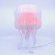 IMG_3457-2.jpg Jellyfish Desk Lamp [Medusa]