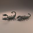 Emperor_scorpion_6.jpg 3D file Emperor scorpion for 3D printing - pre supported・3D print design to download