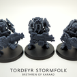 Final-Group-Wide.png Archivo 3D Tordeyr Stormfolk・Diseño para descargar y imprimir en 3D