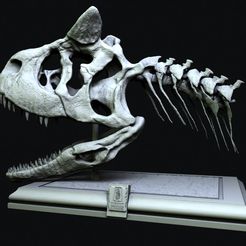 carno-front.jpg STL-Datei Carnotaurus-Schädel・3D-druckbares Modell zum herunterladen