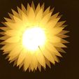 20230919_171722.jpg Flower Lamp