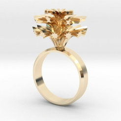 Screen_Shot_2015-12-25_at_17.45.13.png Free STL file Fireworks ring・3D print model to download, Lockheart