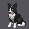 BORDER-COLLIE-01.jpg Border Collie Dog Color Figure