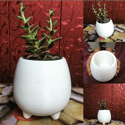 2.png pot poussé