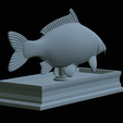 carp-statue-27.png fish carp / Cyprinus carpio statue detailed texture for 3d printing