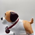 Dog-Saint-Bernard-peinturer-vue-profil-2.jpg Saint Bernard dog with barrel