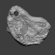 s7.png Seahorse Mineral Fossile - Realistic Printable Resin