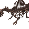 4.png Oxalaia : squelette complet