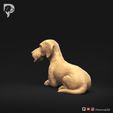 Dachshund-Wire-Haired-Pose-09-Dog-3D-Print-7s.jpeg Dachshund Wire Haired Pose 09