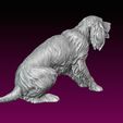14.jpg Dog statue Spaniel