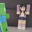 20250815_162744.jpg Minecraft Aphmau play figure