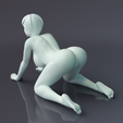 Adult2d.png Naked girl NSFW