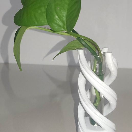 IMG_20250326_003209.jpg plant stand