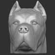 1.jpg Cane Corso dog head for 3D printing