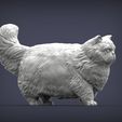 Persian-cat1.jpg Persian cat 3D print model