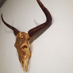 life-size-bull-skull-3d-printing-221274.jpg Fichier STL Crâne de taureau grandeur nature・Design pour imprimante 3D à télécharger