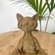 IMG_4131-conv.jpeg STL file CUTE CAT ZEN / NO SUPPORTS・3D printing design to download