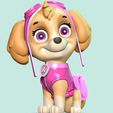 1_1.jpg Skye - Paw Patrol