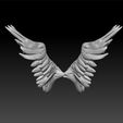 wings4.jpg Wings - wings for game - wings for 3d print - wings high poly
