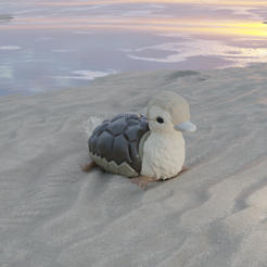 Turtle-duck2.png Turtle Duck from Avatar