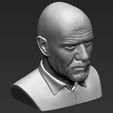 walter-white-breaking-bad-bust-ready-for-full-color-3d-printing-3d-model-obj-stl-wrl-wrz-mtl (40).jpg Walter White Breaking Bad bust 3D printing ready stl obj