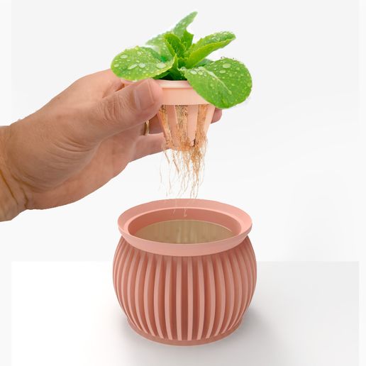 Hydroponic Planter Kit - Pot + Lid for Growing STL File for 3D  printingCults