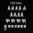 IMG_2931.png 120 bits