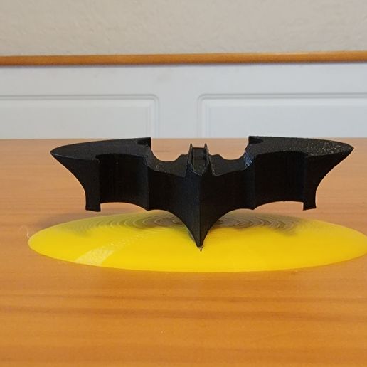 20220306_160546.jpg Batman Logo Flip