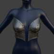 Screenshot-2026-04-29-014254.png Laced Steel Breast Plates