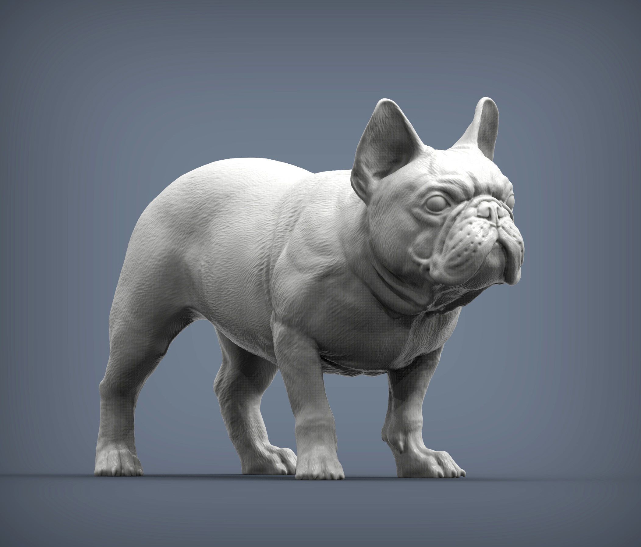 french-bulldog-8.jpg Archivo 3D Modelo de impresión en 3D de un Bulldog Francés・Objeto imprimible en 3D para descargar, akuzmenko