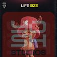 3_4.jpg Life Size Pirate Reindeer 3D Printer STL