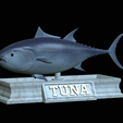 Tuna-model.png fish tuna bluefin / Thunnus thynnus statue detailed texture for 3d printing