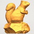 A06.png Squirrel 01