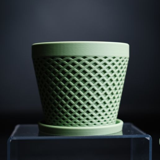 DSCF8657.jpg delta · planter
