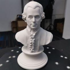IMG_20210820_200629.jpg Free STL file Mozart sculpture（generated by Revopoint POP）・3D printing design to download